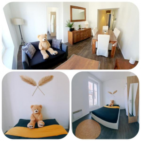 Appartement hypercentre